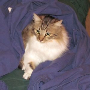 Meet your Posher, Mary